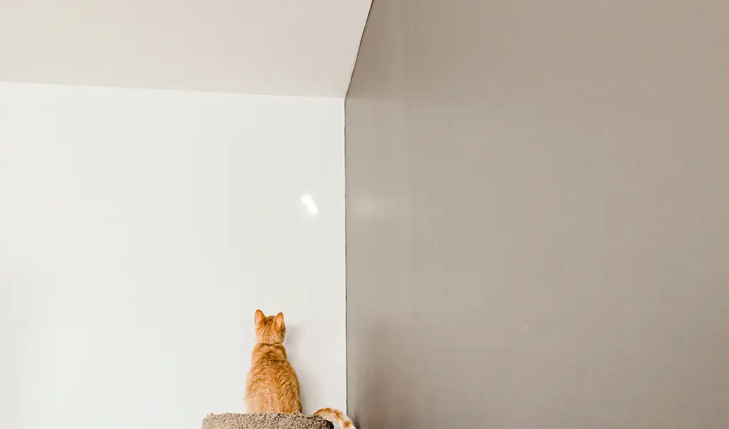 搬家倉庫指南：讓你搬家更輕鬆的秘密武器